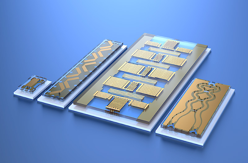 biometric sensors and micro fluidics