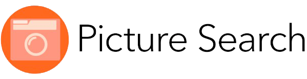 Picture Search Logo